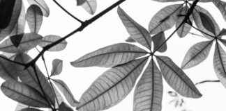 Déco Minimaliste Déco Minimaliste