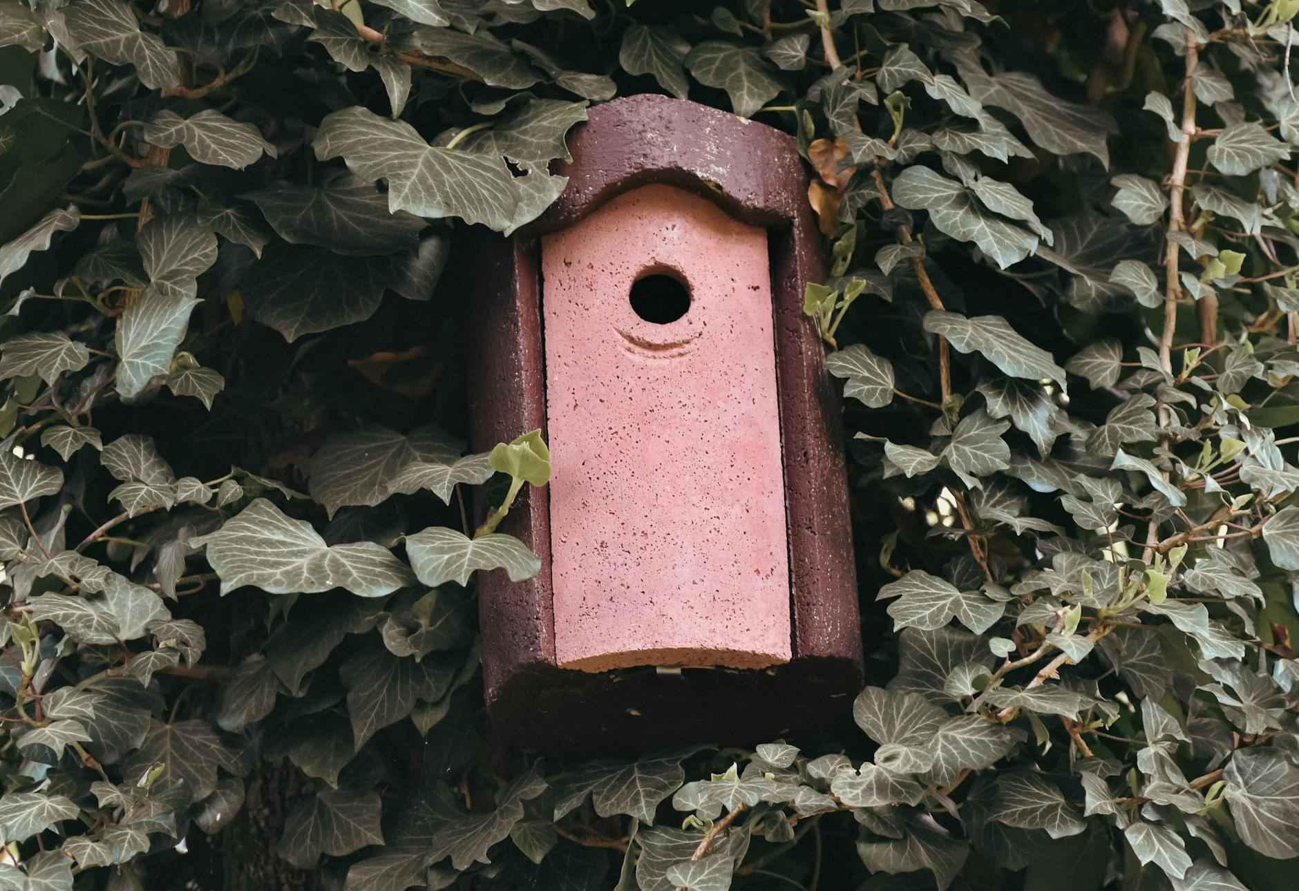 Pourquoi Choisir une Décoration Naturelle ?