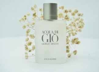 Deco Pour Toilette : Décorations Pratiques Et Élégantes Pour Toilette Deco Pour Toilette : Décorations Pratiques Et Élégantes Pour Toilette