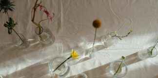 Déco Printemps : Fraîcheur Et Lumière Pour Accueillir La Saison Déco Printemps : Fraîcheur Et Lumière Pour Accueillir La Saison