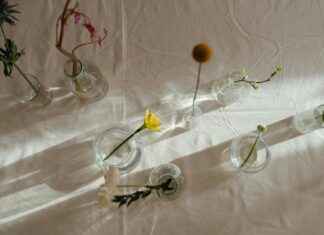 Déco Printemps : Fraîcheur Et Lumière Pour Accueillir La Saison Déco Printemps : Fraîcheur Et Lumière Pour Accueillir La Saison