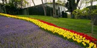 Guirlande Lumineuse Extérieur: Illuminez Votre Jardin Avec Style Guirlande Lumineuse Extérieur: Illuminez Votre Jardin Avec Style