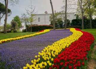 Hamac Sur Pied: Détente Assurée Dans Votre Jardin Hamac Sur Pied: Détente Assurée Dans Votre Jardin