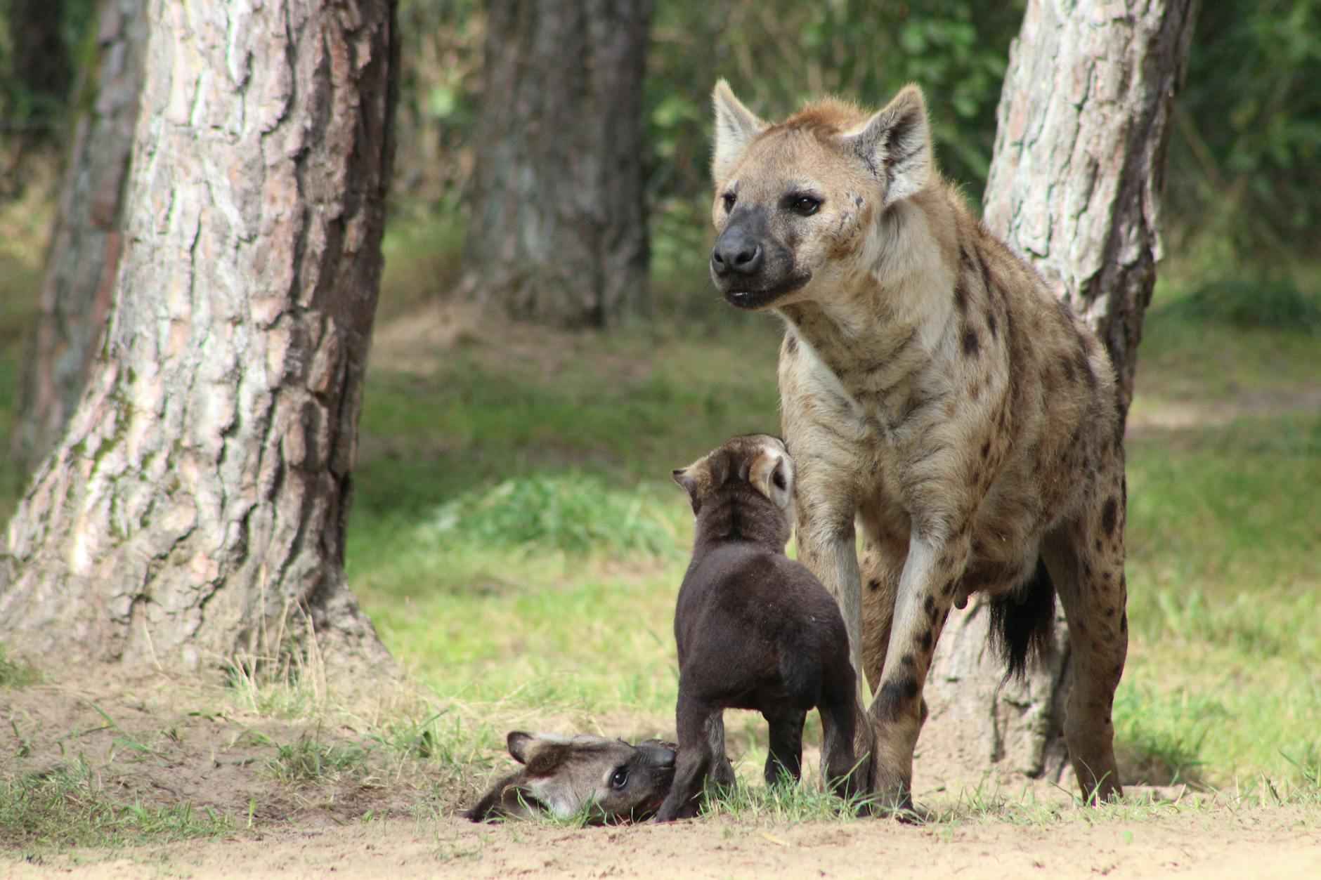 Comprendre ses intérêts