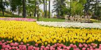 Idée Déco Jardin : Transformez Votre Jardin Avec Ces Idées Décoratives Idée Déco Jardin : Transformez Votre Jardin Avec Ces Idées Décoratives