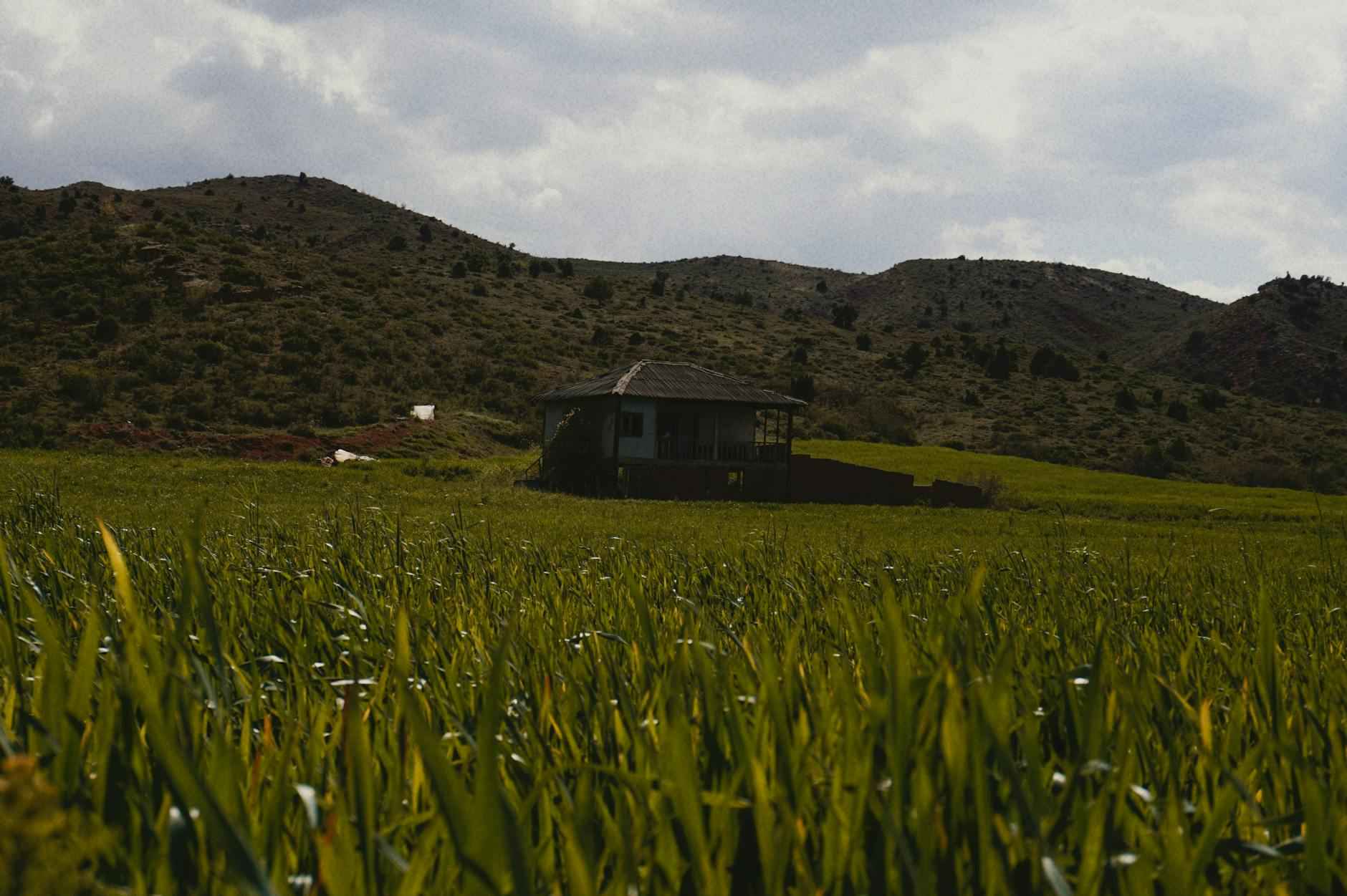 La Magie des Couleurs