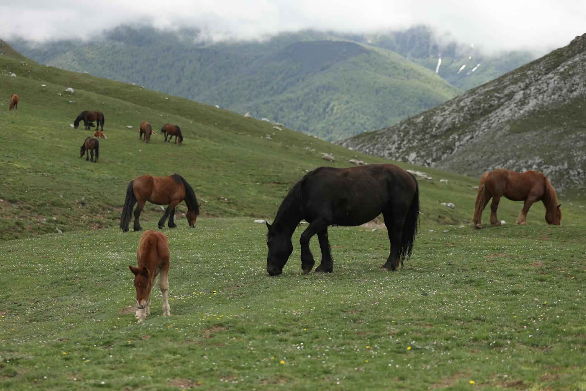 Petit Meuble De Rangement: Pratique Et Fonctionnel Pour Votre Maison 1 Les Avantages D'Avoir Un Petit Meuble De Rangement