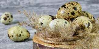 Petite Cuisine : Astuces Déco Pour Optimiser L’Espace Avec Style Petite Cuisine : Astuces Déco Pour Optimiser L’Espace Avec Style