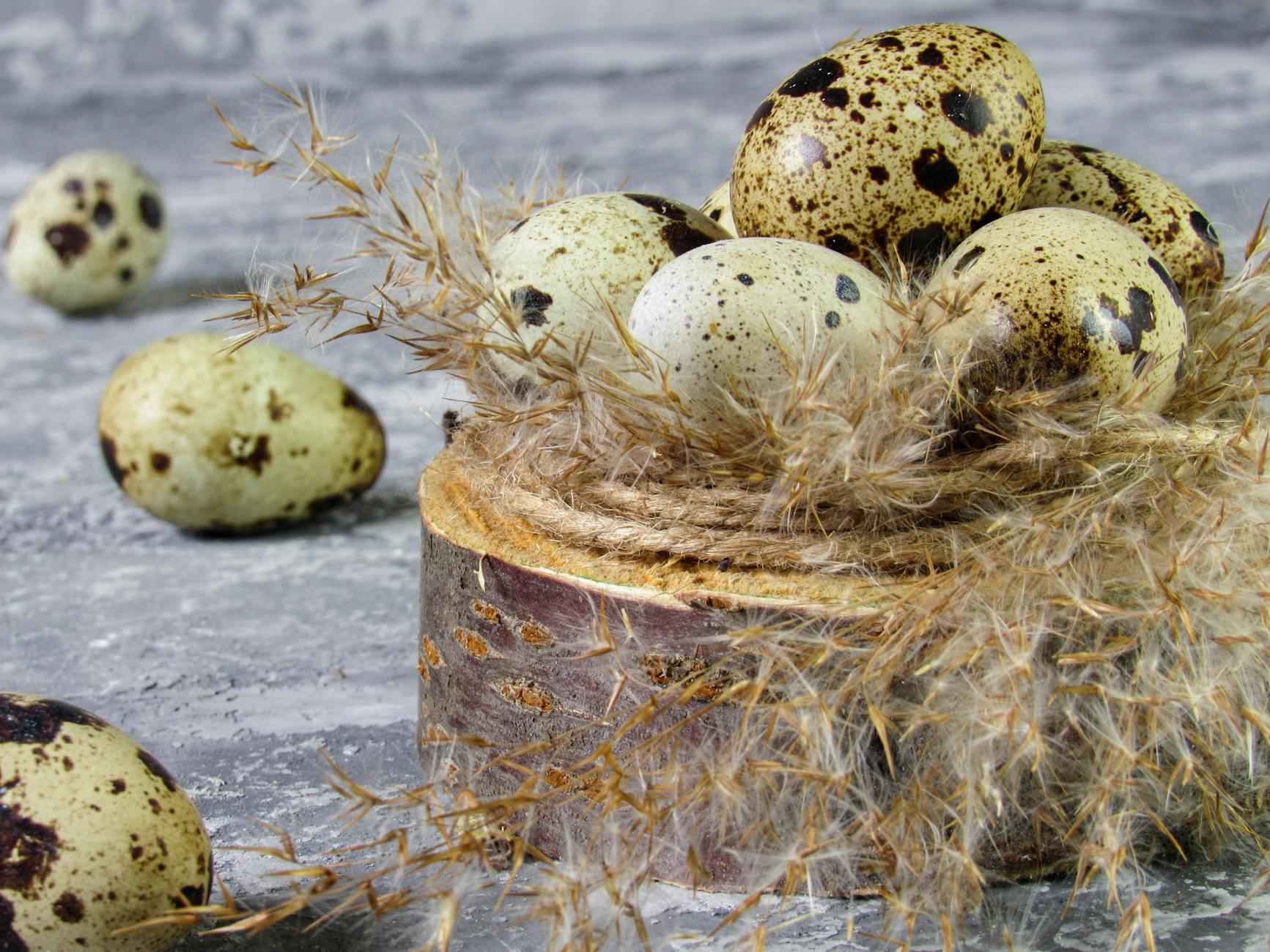 Petite Cuisine : Astuces Déco Pour Optimiser L’Espace Avec Style 1 Aménager l'Espace avec Ingéniosité