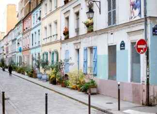 Plantes D’Intérieur : Quelles Espèces Pour Une Déco Tendance Plantes D’Intérieur : Quelles Espèces Pour Une Déco Tendance