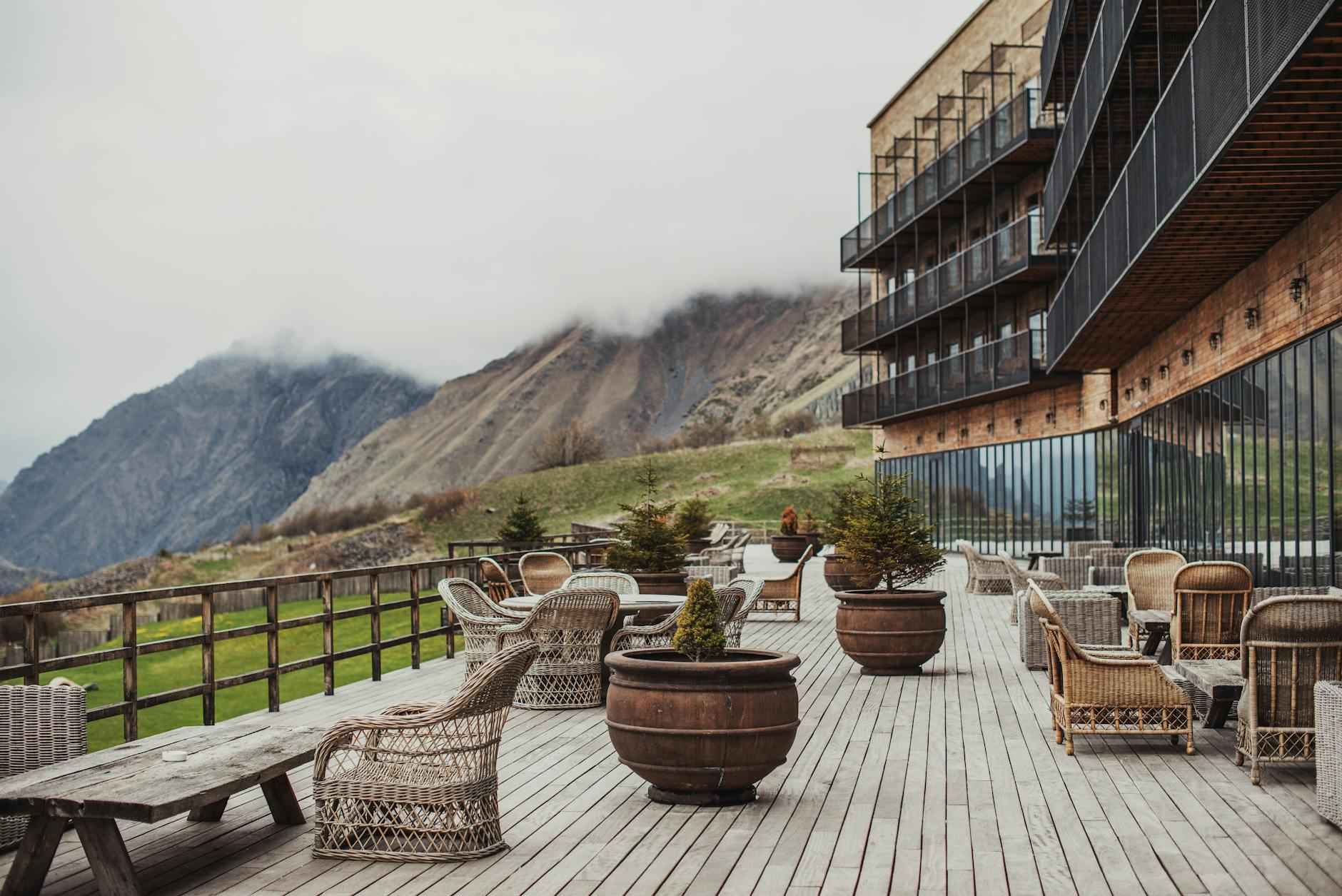 Les Avantages des Plantes d'Intérieur