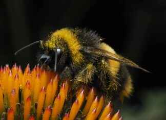 Sac À Langer Bébé: Confort Et Praticité Pour Les Mamans Sac À Langer Bébé: Confort Et Praticité Pour Les Mamans