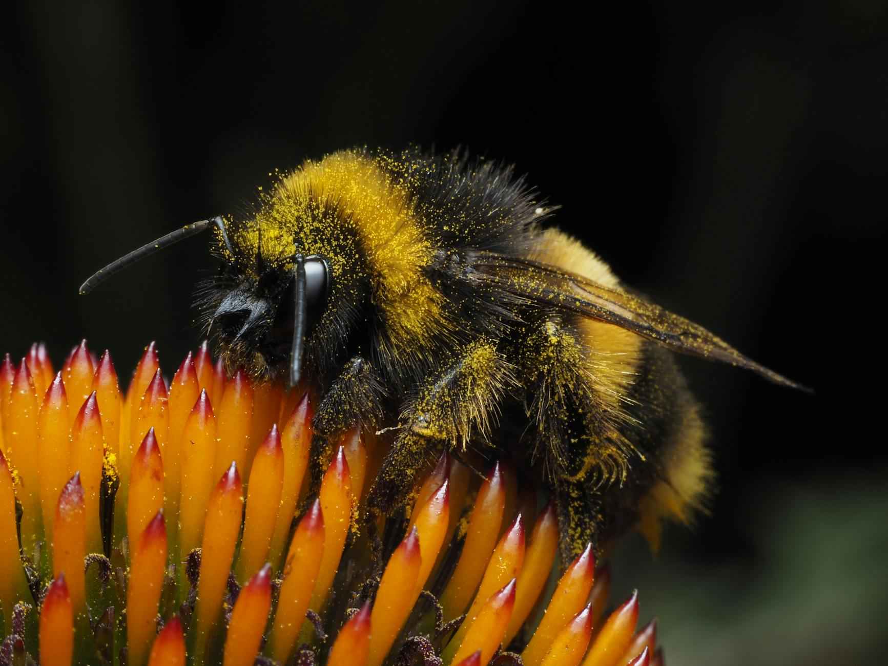Types De Sacs À Langer