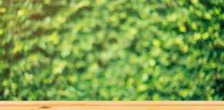 Table Basse Relevable: Fonctionnalité Et Style En Un Table Basse Relevable: Fonctionnalité Et Style En Un