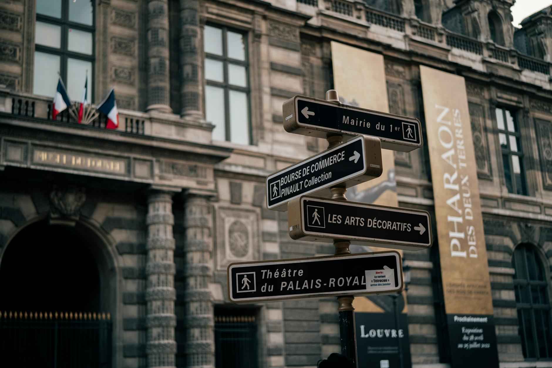 Choisir le Bon Tapis pour Chaque Pièce