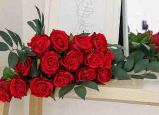 Bouquet De Roses: L’Idée Cadeau Parfaite Pour Elle Bouquet De Roses L'Idée Cadeau Parfaite Pour Elle