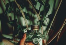 Verre D’Eau : Pourquoi C’est Essentiel Pour Votre Santé Quotidienne ?