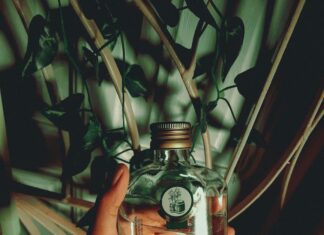 Verre D’Eau : Pourquoi C’est Essentiel Pour Votre Santé Quotidienne ?