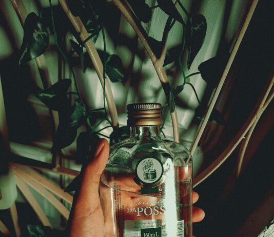 Verre D’Eau : Pourquoi C’est Essentiel Pour Votre Santé Quotidienne ?