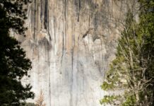 Nid D’Ange : Pourquoi Cet Accessoire Est Indispensable Pour Bébé ?