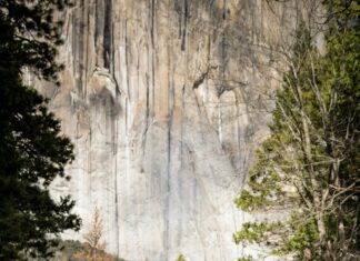 Nid D’Ange : Pourquoi Cet Accessoire Est Indispensable Pour Bébé ?