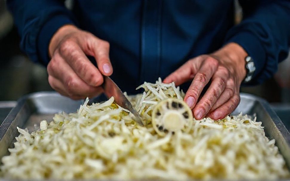 Les 5 Secrets pour Réaliser un Cannage de Qualité