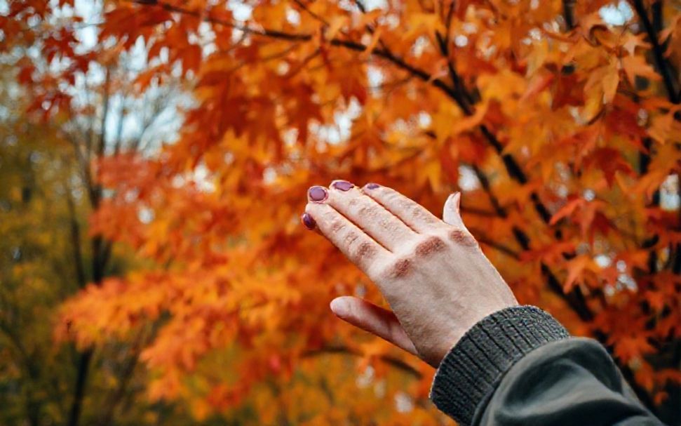 Pourquoi les couleurs automneales sont-elles si essentielles pour une ambiance conviviale ?