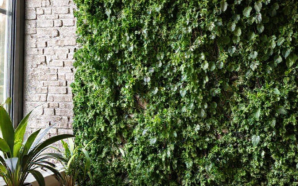 Un mur végétal d'intérieur économique pour améliorer l'air et l'esthétique 2 Pourquoi les murs végétaux sont-ils essentiels pour l'air intérieur ?
