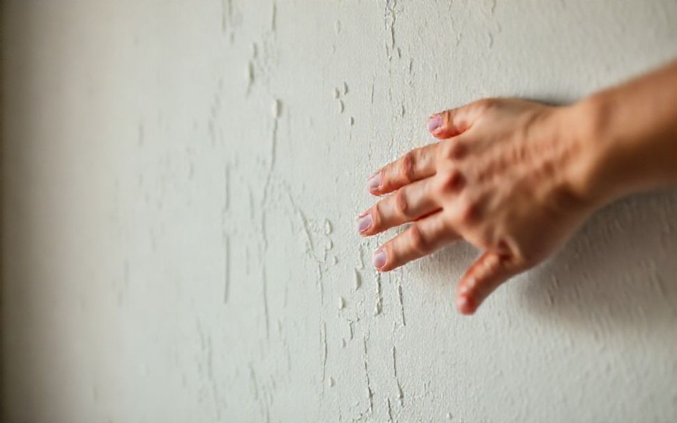 The Truth About les effets de l'humidité sur les murs de votre maison