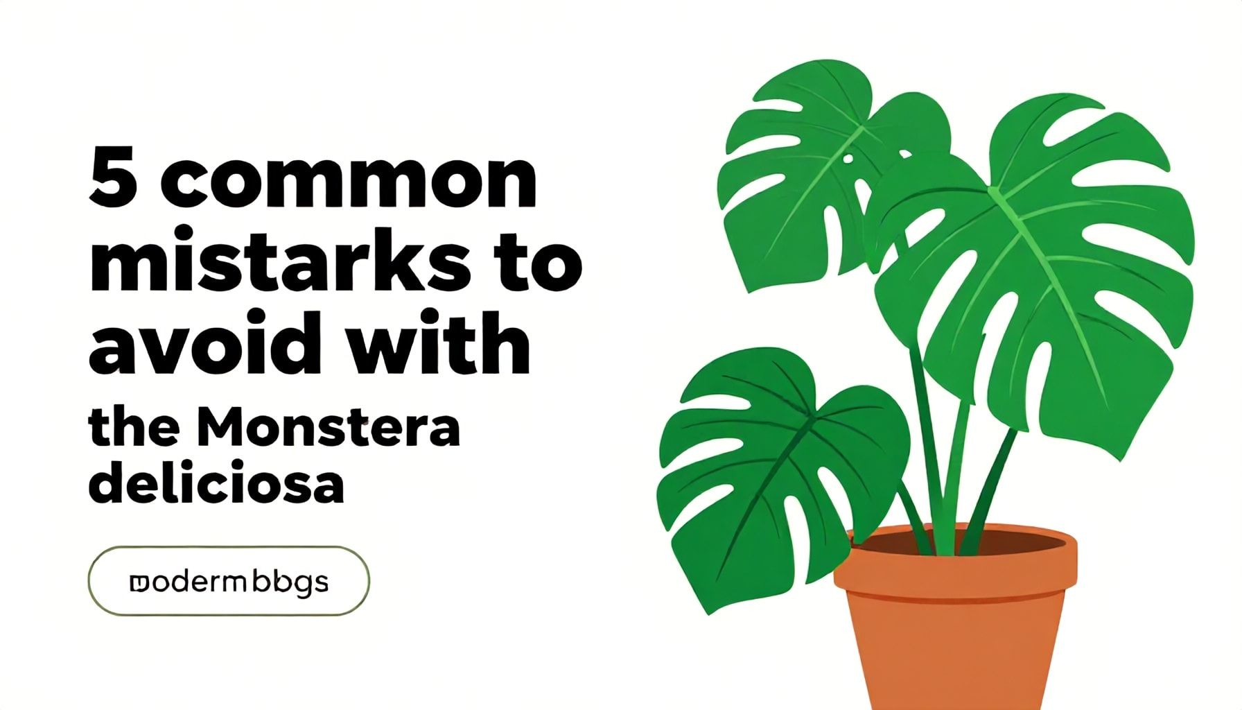 5 erreurs courantes à éviter avec la monstera deliciosa