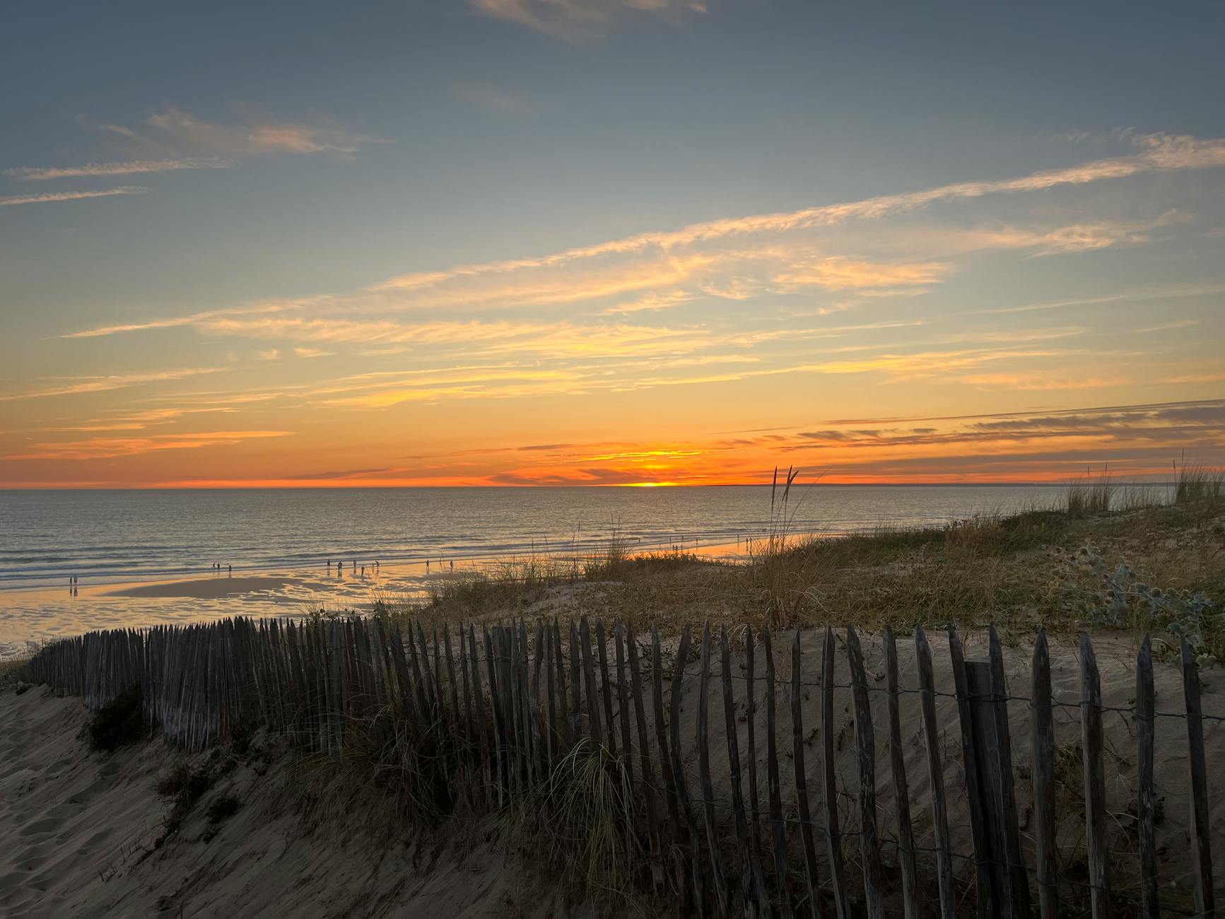 La vérité sur la consommation excessive de potiron et ses effets sur l'organisme