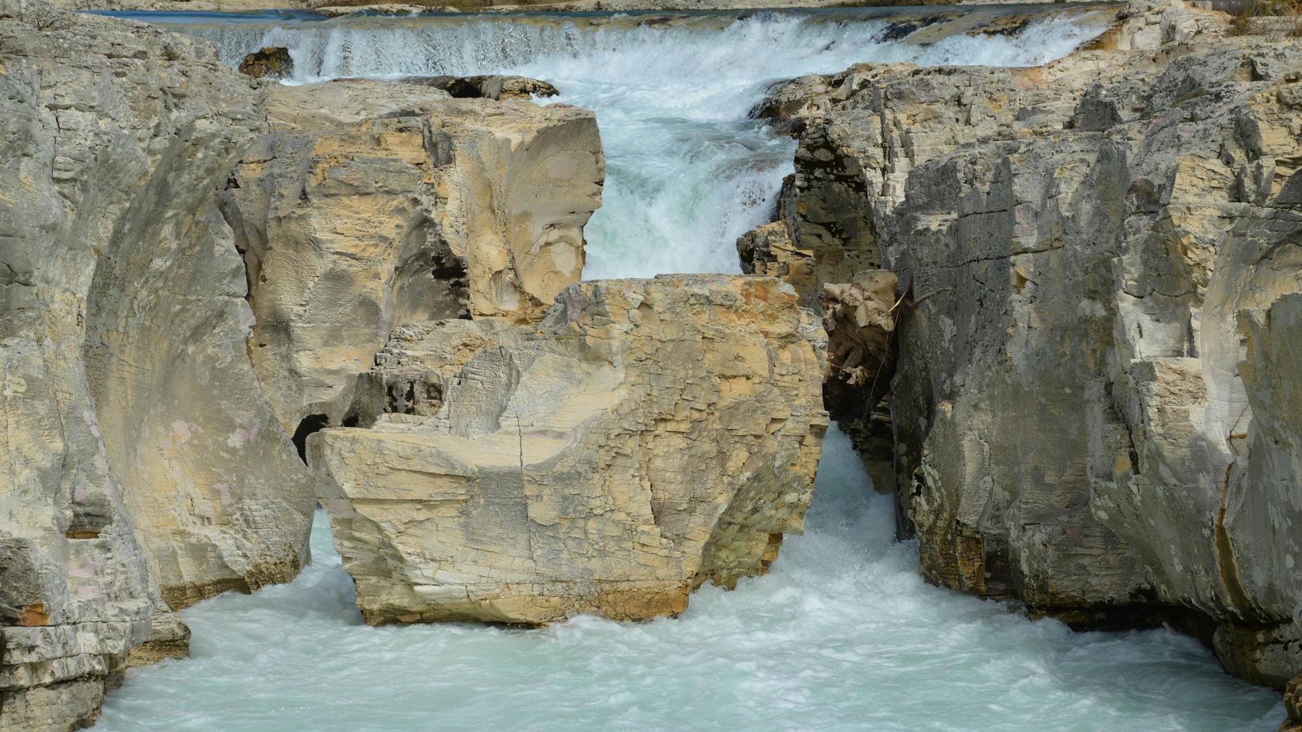La vérité sur les nutriments cachés du mulot