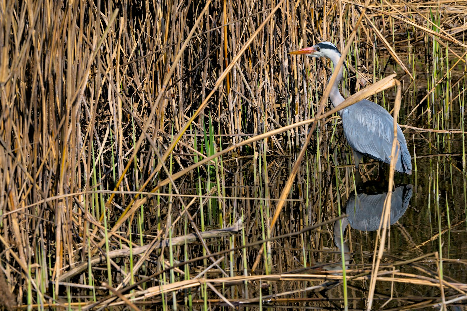 Le miroir parfait pour votre salle de bain : style et fonctionnalité 4 Les 5 erreurs à éviter lors de l'achat d'un miroir salle de bain
