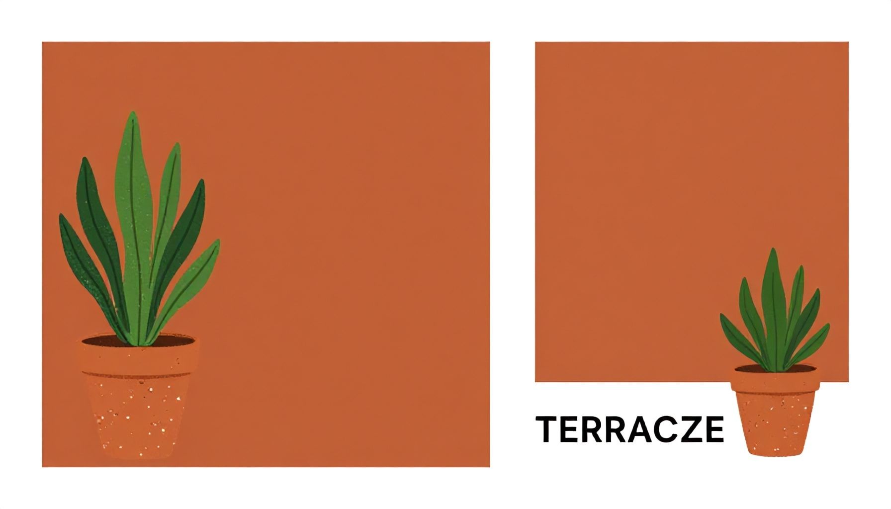 Découvrez la chaleur et l'élégance de la couleur terracotta 4 La vérité sur l'association de la couleur terracotta avec d'autres teintes