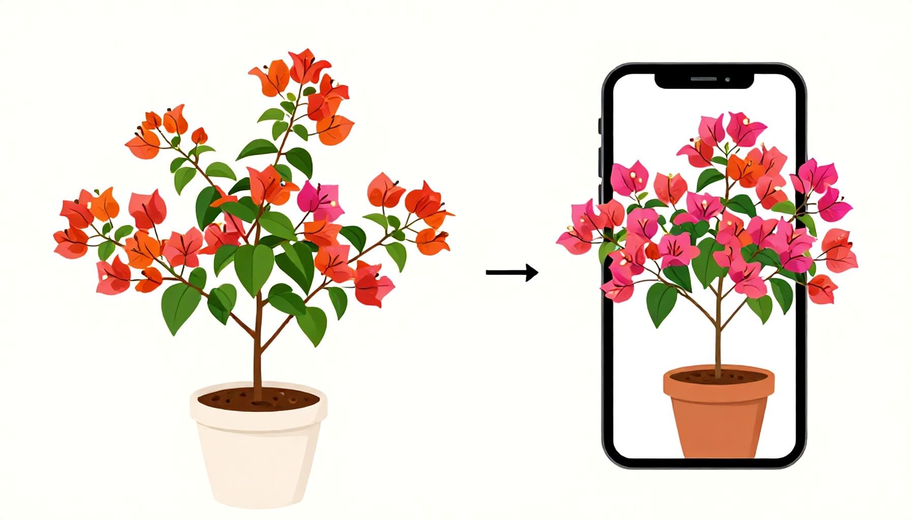 Les Bougainvilliers: Des Fleurs Vibrantes Pour Illuminer Votre Jardin 5 La vérité sur l'entretien minimal des bougainvilliers une fois bien installés