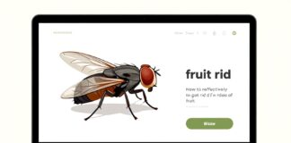 Comment se débarrasser des moucherons efficacement