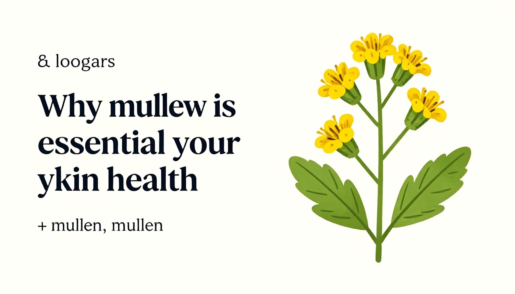 Les bienfaits méconnus de la muflier 5 Pourquoi la muflier est essentielle pour la santé de votre peau