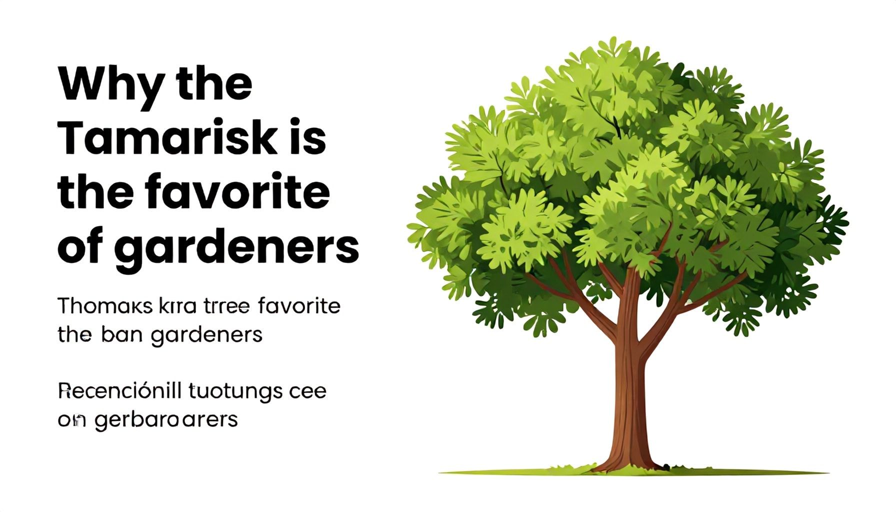 Pourquoi le Tamaris est l'arbre préféré des jardiniers