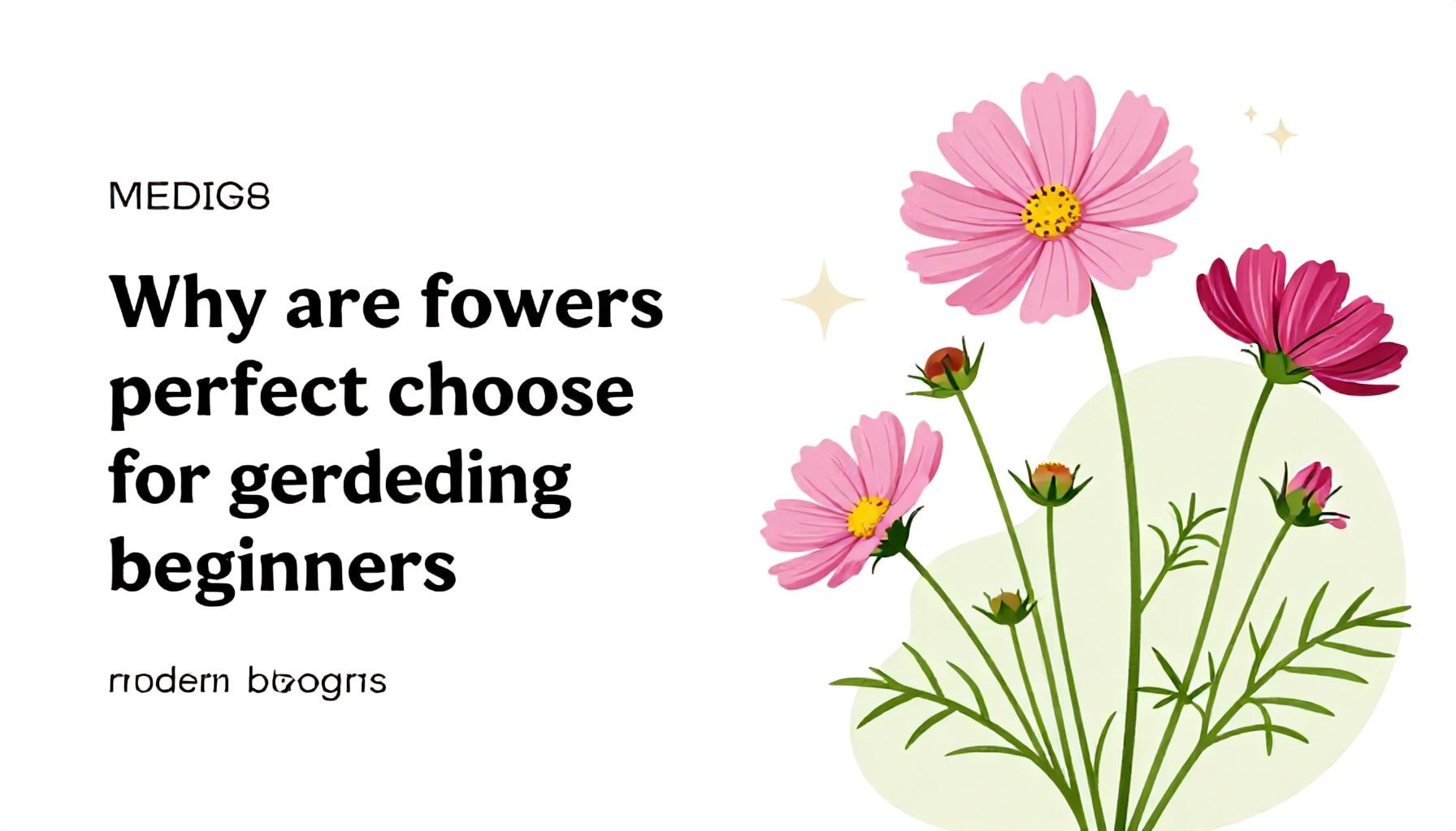 Pourquoi les cosmos fleurs sont-elles le choix parfait pour les débutants en jardinage