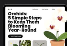 Orchidées : 5 gestes simples pour les garder en fleurs toute l’année