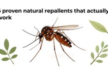 6 répulsifs naturels contre les moustiques qui marchent vraiment